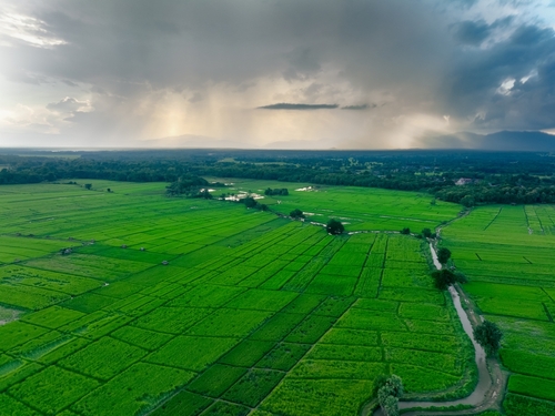 Water flowing from a modern tap