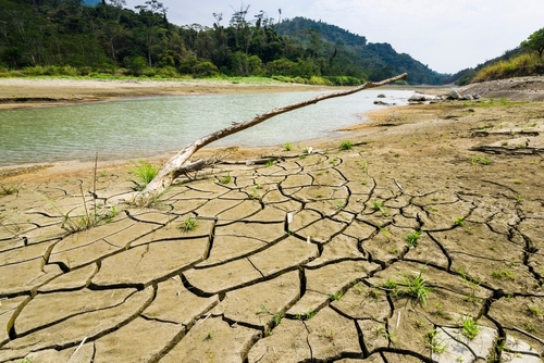 Dry cracked lake bed