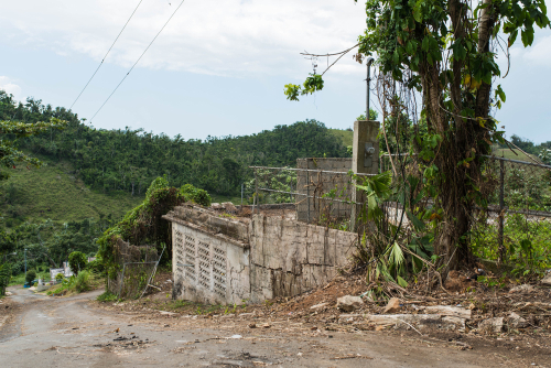 Destroyed environment after a hurricane